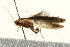  ( - UKLB29B10)  @12 [ ] CreativeCommons - Attribution (2009) Unspecified Centre for Biodiversity Genomics