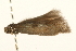  ( - UKLB29C11)  @12 [ ] CreativeCommons - Attribution (2009) Unspecified Centre for Biodiversity Genomics