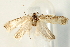  ( - UKLB29E01)  @13 [ ] CreativeCommons - Attribution (2009) Unspecified Centre for Biodiversity Genomics