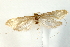  ( - UKLB29E06)  @14 [ ] CreativeCommons - Attribution (2009) Unspecified Centre for Biodiversity Genomics
