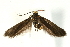  ( - UKLB29E10)  @12 [ ] CreativeCommons - Attribution (2009) Unspecified Centre for Biodiversity Genomics