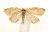  ( - UKLB29G05)  @13 [ ] CreativeCommons - Attribution (2009) Unspecified Centre for Biodiversity Genomics
