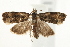  ( - UKLB29H07)  @13 [ ] CreativeCommons - Attribution (2009) Unspecified Centre for Biodiversity Genomics
