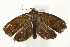 ( - UKLB29H09)  @13 [ ] CreativeCommons - Attribution (2009) Unspecified Centre for Biodiversity Genomics