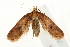  ( - UKLB31A12)  @13 [ ] CreativeCommons - Attribution (2009) Unspecified Centre for Biodiversity Genomics