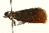  ( - UKLB31D10)  @13 [ ] CreativeCommons - Attribution (2009) Unspecified Centre for Biodiversity Genomics