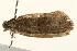  ( - UKLB31E03)  @12 [ ] CreativeCommons - Attribution (2009) Unspecified Centre for Biodiversity Genomics
