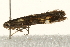  ( - UKLB31E10)  @12 [ ] CreativeCommons - Attribution (2009) Unspecified Centre for Biodiversity Genomics