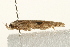 ( - UKLB31F11)  @12 [ ] CreativeCommons - Attribution (2009) Unspecified Centre for Biodiversity Genomics
