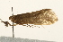  ( - UKLB31G02)  @13 [ ] CreativeCommons - Attribution (2009) Unspecified Centre for Biodiversity Genomics