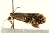  ( - UKLB31G04)  @13 [ ] CreativeCommons - Attribution (2009) Unspecified Centre for Biodiversity Genomics