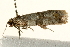  ( - UKLB31H01)  @12 [ ] CreativeCommons - Attribution (2009) Unspecified Centre for Biodiversity Genomics