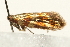  ( - UKLB31H03.fail1)  @11 [ ] CreativeCommons - Attribution (2009) Unspecified Centre for Biodiversity Genomics