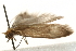  ( - UKLB31H08)  @13 [ ] CreativeCommons - Attribution (2009) Unspecified Centre for Biodiversity Genomics