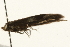  ( - UKLB32A02)  @12 [ ] CreativeCommons - Attribution (2009) Unspecified Centre for Biodiversity Genomics