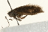  ( - UKLB32A12)  @12 [ ] CreativeCommons - Attribution (2009) Unspecified Centre for Biodiversity Genomics