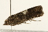  ( - UKLB32D05)  @12 [ ] CreativeCommons - Attribution (2009) Unspecified Centre for Biodiversity Genomics