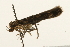  ( - UKLB32D06)  @12 [ ] CreativeCommons - Attribution (2009) Unspecified Centre for Biodiversity Genomics