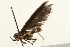  ( - UKLB32E11)  @12 [ ] CreativeCommons - Attribution (2009) Unspecified Centre for Biodiversity Genomics