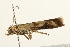  ( - UKLB32E12)  @12 [ ] CreativeCommons - Attribution (2009) Unspecified Centre for Biodiversity Genomics