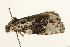  ( - UKLB32F02)  @12 [ ] CreativeCommons - Attribution (2009) Unspecified Centre for Biodiversity Genomics