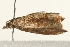  ( - UKLB32F07)  @12 [ ] CreativeCommons - Attribution (2009) Unspecified Centre for Biodiversity Genomics