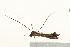  ( - UKLB32G01)  @12 [ ] CreativeCommons - Attribution (2009) Unspecified Centre for Biodiversity Genomics