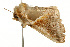  ( - UKLB24B08)  @11 [ ] CreativeCommons - Attribution (2009) Unspecified Centre for Biodiversity Genomics