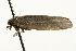  ( - UKLB24C02)  @12 [ ] CreativeCommons - Attribution (2009) Unspecified Centre for Biodiversity Genomics