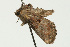  ( - UKLB24F07)  @13 [ ] CreativeCommons - Attribution (2009) Unspecified Centre for Biodiversity Genomics
