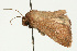  ( - UKLB24F08)  @11 [ ] CreativeCommons - Attribution (2009) Unspecified Centre for Biodiversity Genomics