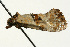  ( - UKLB24F12)  @12 [ ] CreativeCommons - Attribution (2009) Unspecified Centre for Biodiversity Genomics