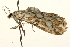  ( - UKLB25D07)  @12 [ ] CreativeCommons - Attribution (2010) Unspecified Centre for Biodiversity Genomics