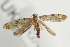  ( - UKLB30C06)  @14 [ ] CreativeCommons - Attribution (2010) Unspecified Centre for Biodiversity Genomics
