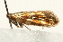  ( - UKLB31H03)  @12 [ ] CreativeCommons - Attribution (2010) Unspecified Centre for Biodiversity Genomics