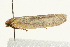  ( - UKLB33A10)  @12 [ ] CreativeCommons - Attribution (2009) Unspecified Centre for Biodiversity Genomics