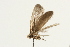  ( - UKLB33C06)  @12 [ ] CreativeCommons - Attribution (2009) Unspecified Centre for Biodiversity Genomics