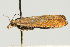  ( - UKLB33C12)  @12 [ ] CreativeCommons - Attribution (2009) Unspecified Centre for Biodiversity Genomics