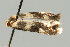  ( - UKLB33D01)  @12 [ ] CreativeCommons - Attribution (2009) Unspecified Centre for Biodiversity Genomics