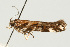  ( - UKLB33D07)  @12 [ ] CreativeCommons - Attribution (2009) Unspecified Centre for Biodiversity Genomics