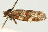  ( - UKLB33D08)  @12 [ ] CreativeCommons - Attribution (2009) Unspecified Centre for Biodiversity Genomics