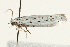  ( - UKLB33D12)  @12 [ ] CreativeCommons - Attribution (2009) Unspecified Centre for Biodiversity Genomics