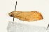  ( - UKLB33E02)  @12 [ ] CreativeCommons - Attribution (2009) Unspecified Centre for Biodiversity Genomics