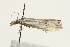  ( - UKLB33E03)  @11 [ ] CreativeCommons - Attribution (2009) Unspecified Centre for Biodiversity Genomics