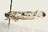 ( - UKLB33E07)  @12 [ ] CreativeCommons - Attribution (2009) Unspecified Centre for Biodiversity Genomics