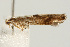  ( - UKLB33F10)  @12 [ ] CreativeCommons - Attribution (2009) Unspecified Centre for Biodiversity Genomics