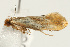  ( - UKLB33G08)  @13 [ ] CreativeCommons - Attribution (2009) Unspecified Centre for Biodiversity Genomics