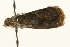  ( - UKLB32H06)  @12 [ ] CreativeCommons - Attribution (2009) Unspecified Centre for Biodiversity Genomics