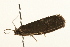  ( - UKLB32H08)  @12 [ ] CreativeCommons - Attribution (2009) Unspecified Centre for Biodiversity Genomics