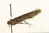 ( - UKLB32H10)  @12 [ ] CreativeCommons - Attribution (2009) Unspecified Centre for Biodiversity Genomics
